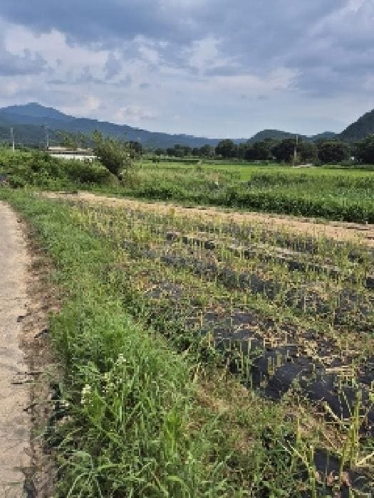 B000510202501300334684.jpg