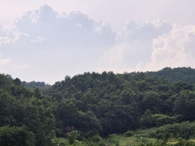 B000510202501300334683.jpg