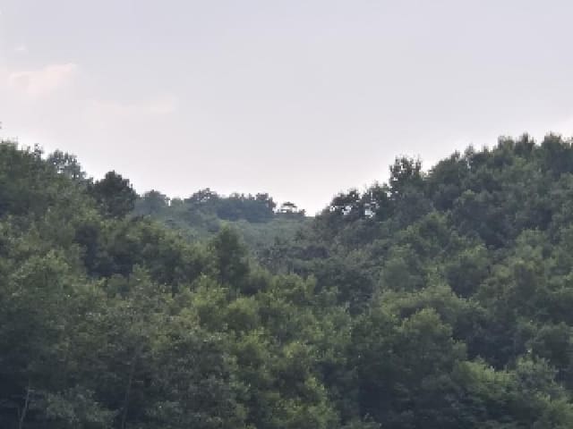 B000510202501300334682.jpg