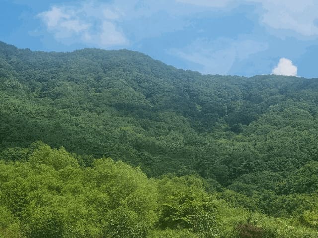 B000510202501300335393.jpg