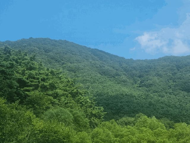B000510202501300335394.jpg