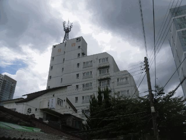 B000510202501300335974.jpg
