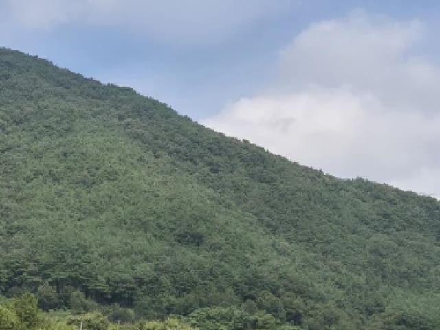 B000510202501300336081.jpg