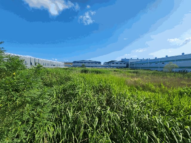 B000510202501300336093.jpg
