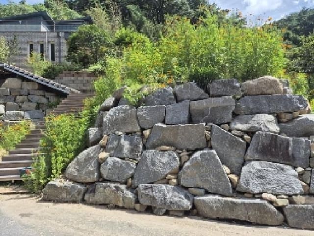 B000510202501300336702.jpg