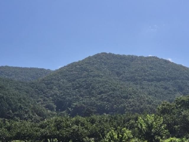 B000510202501300337312.jpg