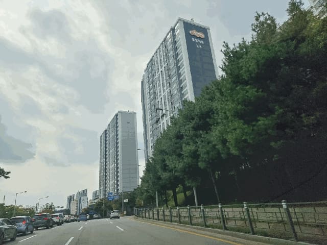 B000510202501300337412.jpg