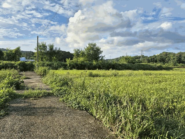 B000510202501300337884.jpg