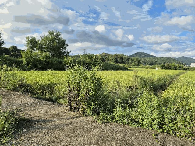 B000510202501300337883.jpg