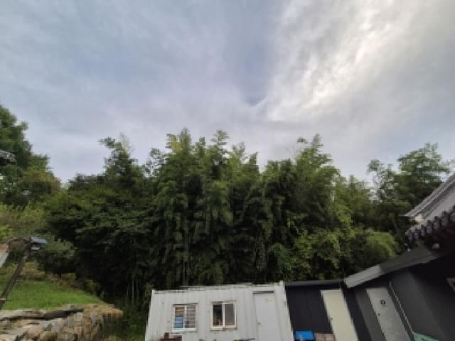 B000510202501300338461.jpg