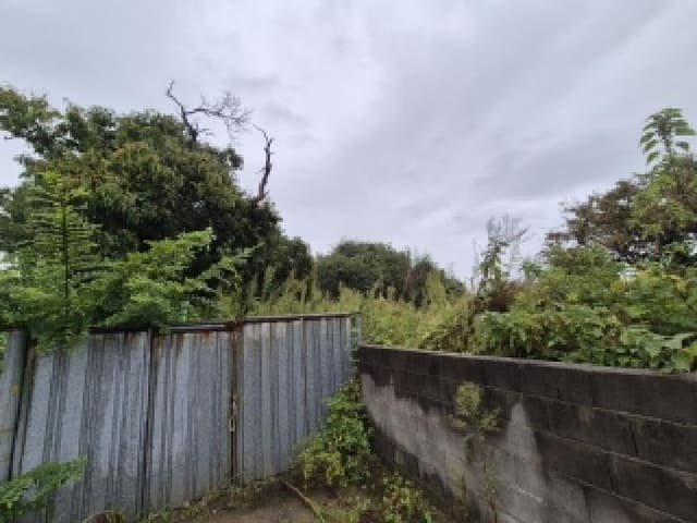 B000510202501300338501.jpg