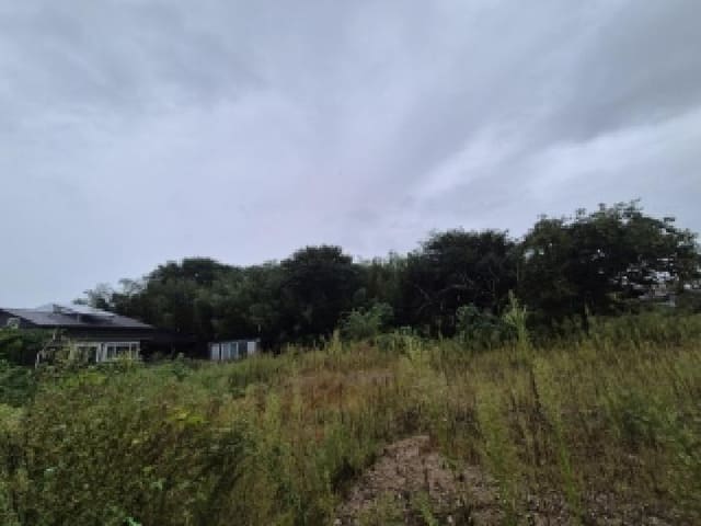 B000510202501300338504.jpg