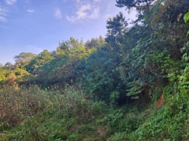 B000510202501300338612.jpg