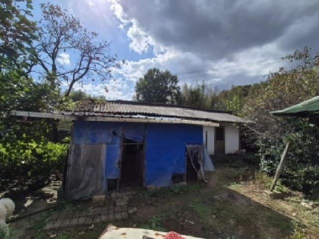 B000510202501300338641.jpg