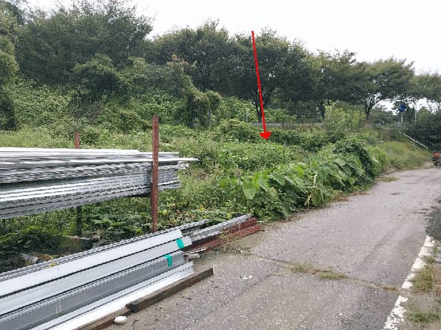 B000510202501300338994.jpg