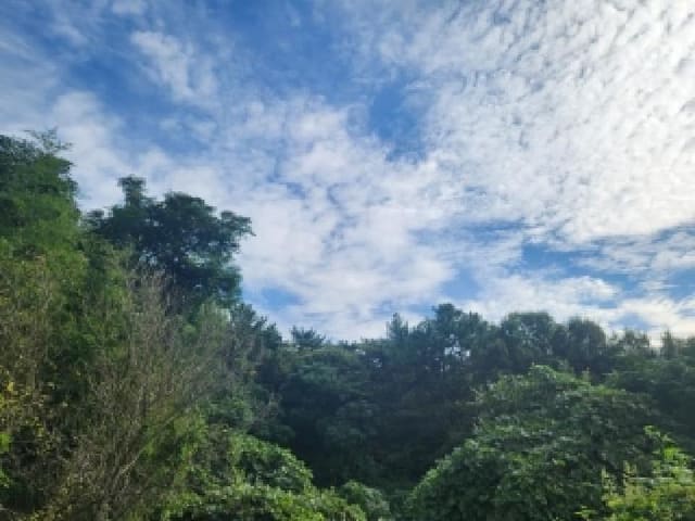 B000510202501300339213.jpg