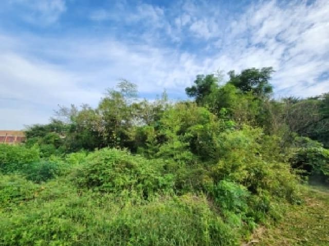 B000510202501300339211.jpg