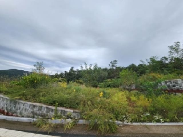 B000510202501300339624.jpg
