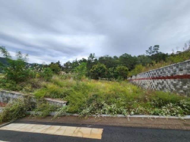 B000510202501300339623.jpg