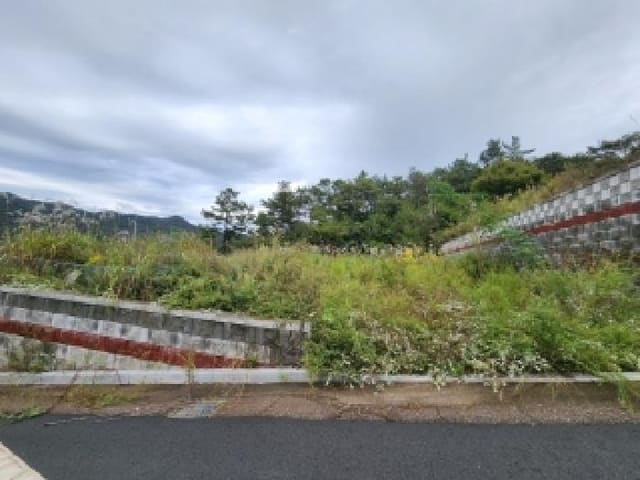 B000510202501300339621.jpg
