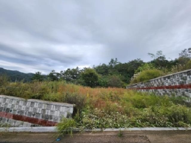 B000510202501300339622.jpg