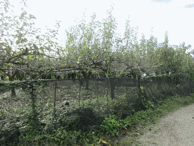 B0005102025013003401813.jpg