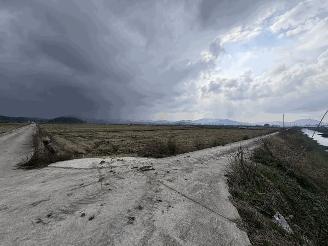 B000510202501300340394.jpg