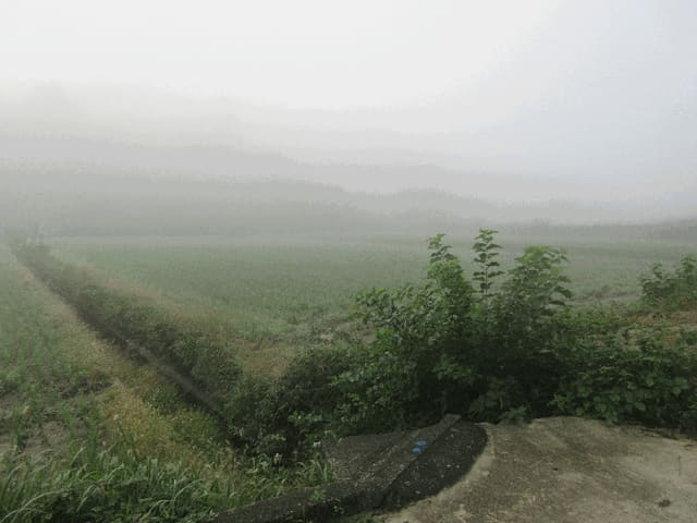 B000510202501300340424.jpg
