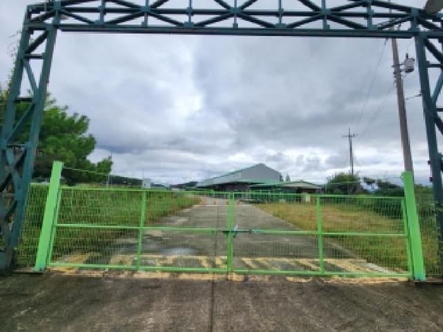B000510202501300340522.jpg
