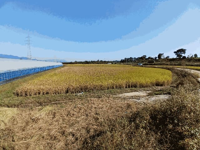 B000510202501300341084.jpg