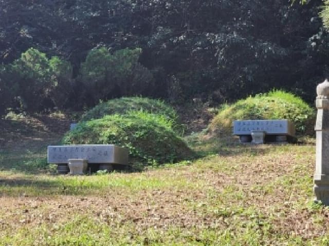 B000510202501300341421.jpg