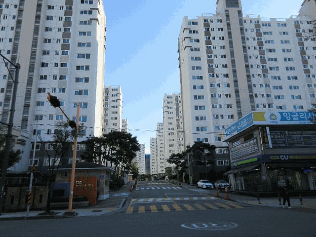 B000510202501300341574.jpg