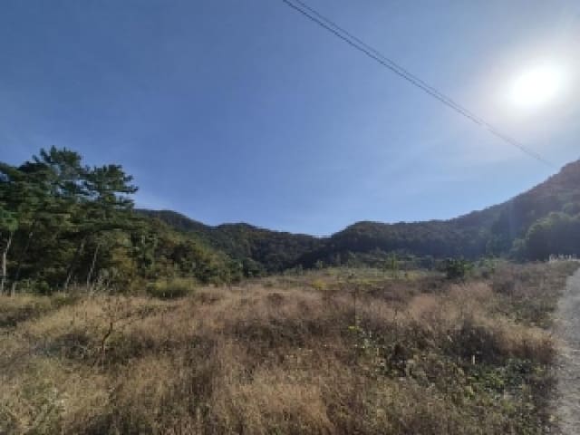 B000510202501300342602.jpg