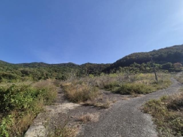 B000510202501300342604.jpg