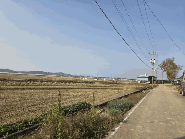 B000510202501300342803.jpg