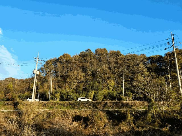 B000510202501300343034.jpg