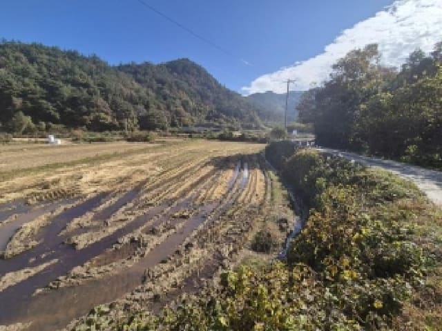 B000510202501300343173.jpg