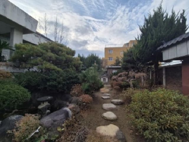 B000510202501300343903.jpg