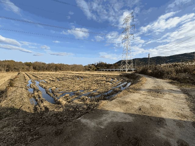 B000510202501300343914.jpg
