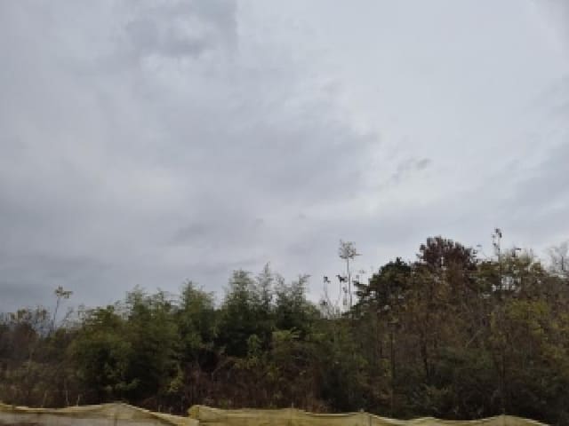 B000510202501300344512.jpg