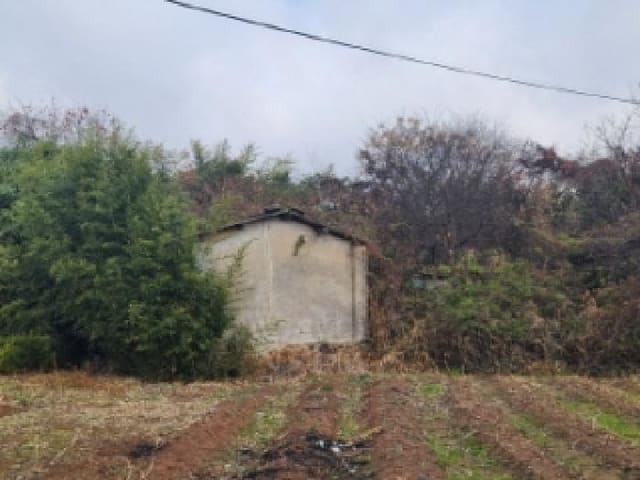 B0005102025013003446319.jpg