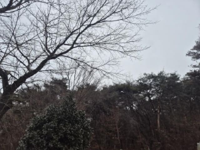B000510202501300344892.jpg