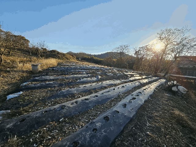 B000510202501300344934.jpg