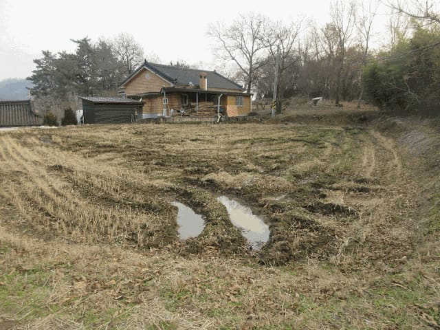 B000510202501300345093.jpg