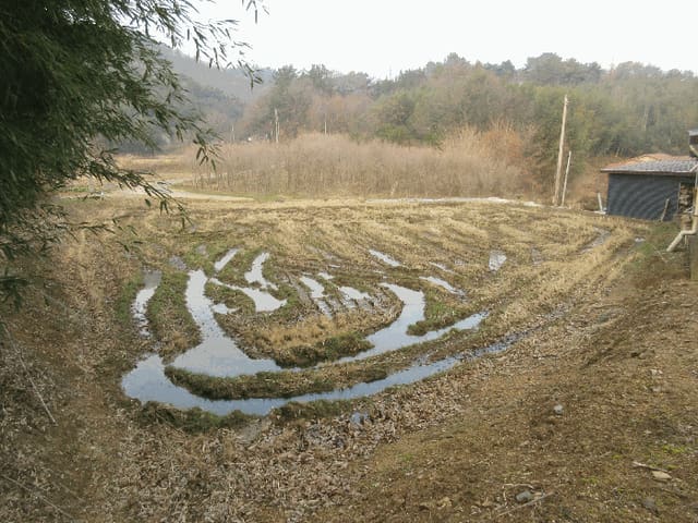 B000510202501300345094.jpg