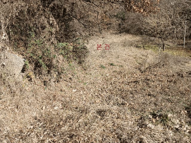 B000510202501300345103.jpg