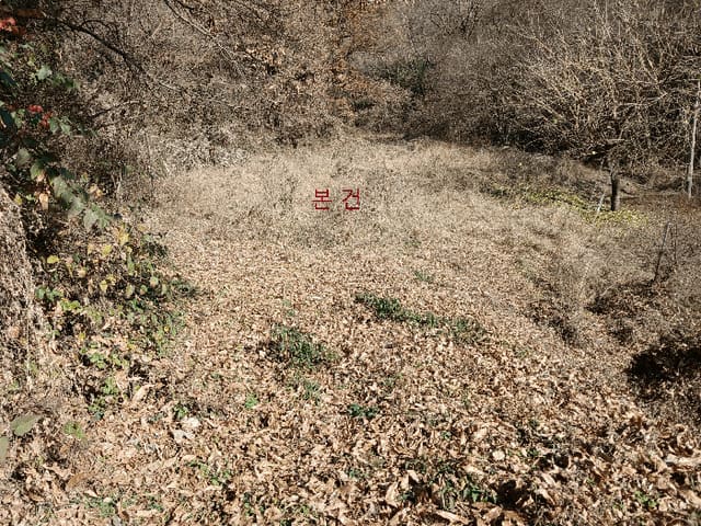B000510202501300345104.jpg