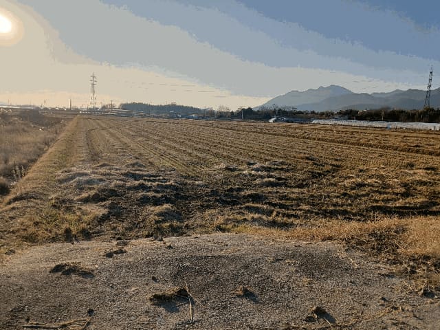 B000510202501300345764.jpg