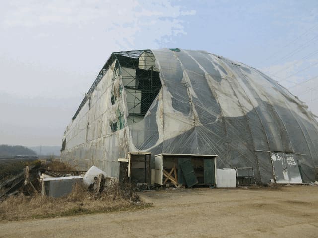 B000510202501300346268.jpg