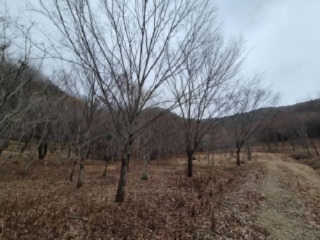 B000510202501300346342.jpg